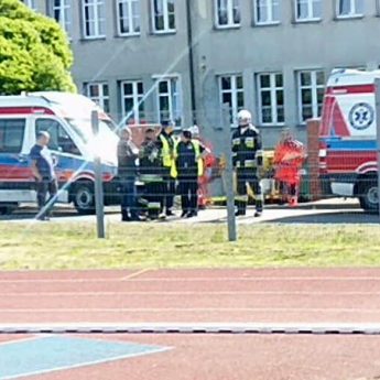 Uczniowie zaatakowani przez pszczoły w Wolinie! Na miejscu lądował śmigłowiec Uczniowie zaatakowani przez pszczoły w Wolinie! Na miejscu lądował śmigłowiec